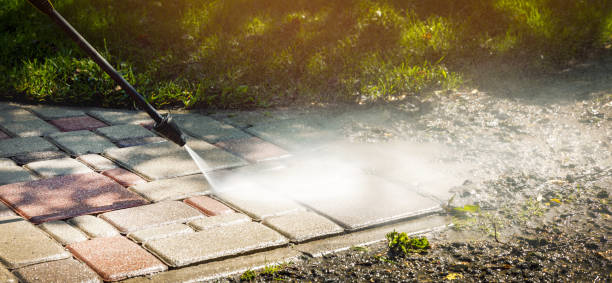 Best Sidewalk and Walkway Cleaning  in , NE